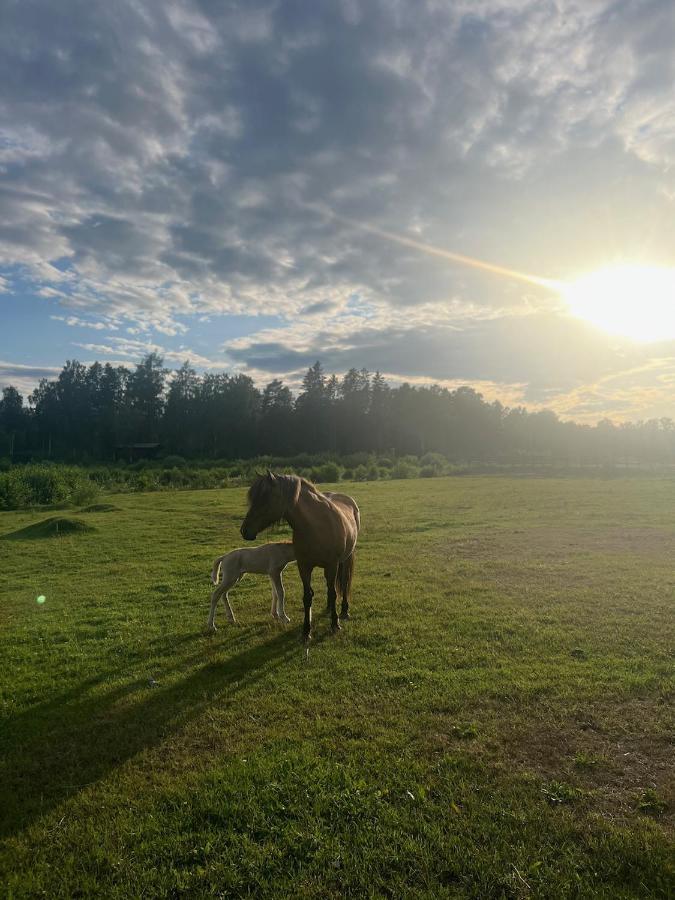 ÖsthammarIdylliskt Hus Med Sjoeutsikt.别墅 外观 照片